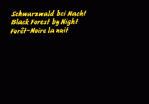 Schwarzwald bei Nacht / Black Forest by Night / Forêt-Noire la nuit