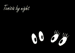 Tunesia by night