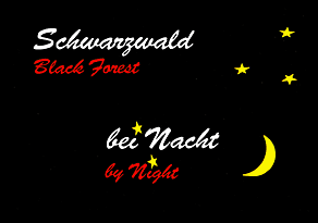 Schwarzwald bei Nacht / Black Forest by Night