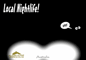 Local Nightlife! Thredbo Alpine Australia