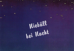 Niebüll bei Nacht