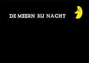 DE MEERN BIJ NACHT