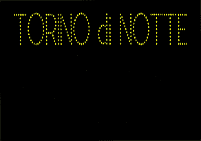 TORINO di NOTTE