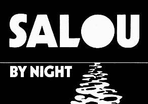 SALOU BY NIGHT