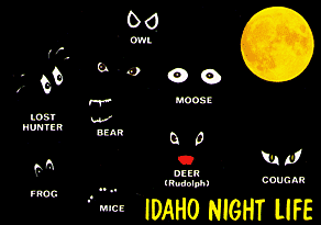 IDAHO NIGHT LIFE