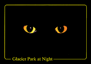 Glacier Park at Night