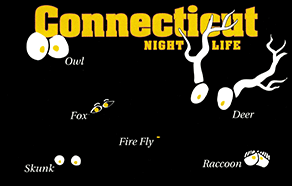 Connecticut NIGHT LIFE