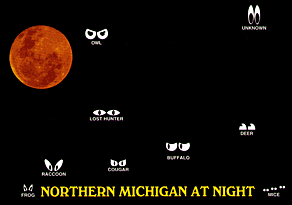 NORTHERN MICHIGAN AT NIGHT