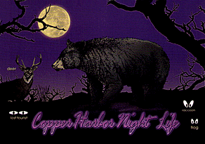 Copper Harbor Night Life