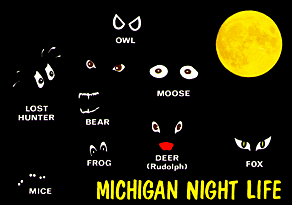 MICHIGAN NIGHT LIFE