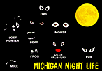 MICHIGAN NIGHT LIFE