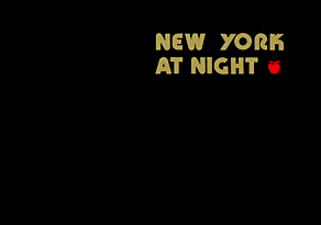 NEW YORK AT NIGHT