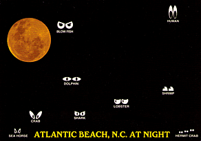 ATLANTIC BEACH, N.C. AT NIGHT