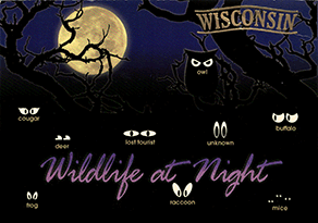 WISCONSIN Wildlife at Night