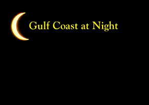 Gulf Coast at Night