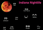 Indiana Nightlife