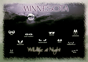 MINNESOTA Wildlife at Night
