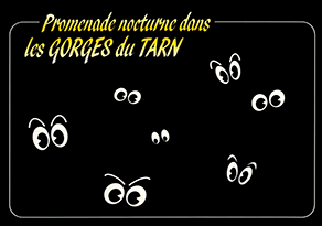 Promenade nocturne dans les GEORGES du TARN