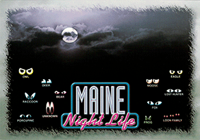 MAINE Night Life