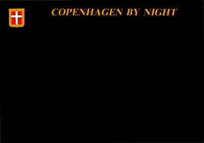 COPENHAGEN BY NIGHT