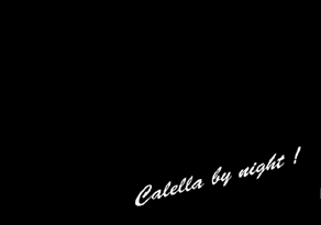 Calella by night 
