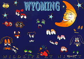 WYOMING WILDLIFE AT NIGHT