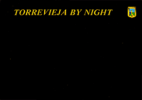 TORREVIEJA BY NIGHT