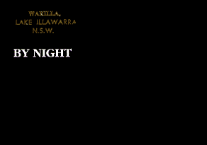 Warrilla, LAKE ILLAWARRA N.S.W. BY NIGHT