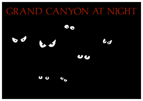 GRAND CANYON AT NIGHT