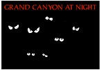 GRAND CANYON AT NIGHT