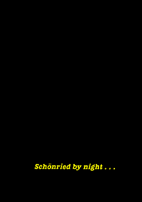 Schönried by night . . .